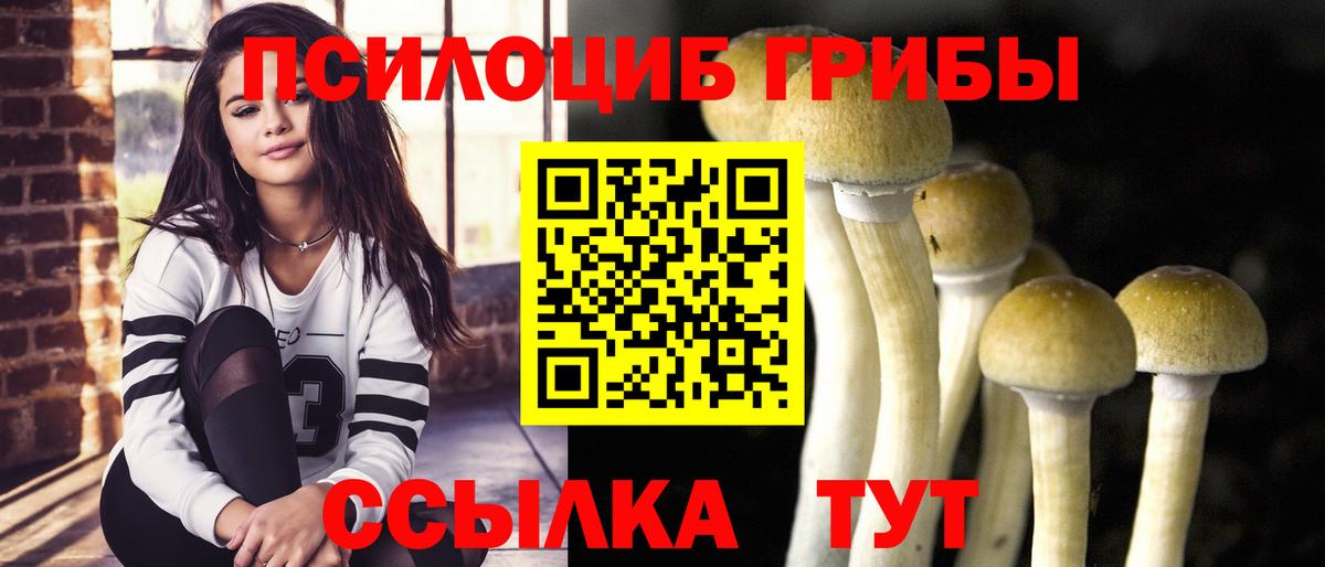 как найти закладки  Галлюциногенные грибы Cubensis  Вход с VPN  Трёхгорный 